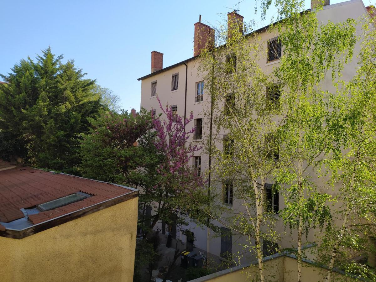 Berge Du Rhone, Centre Lyon, Espace De Travail, Tout A Pied, Universite Lyon 2 Et Lyon 3, Ideal Voyage D'Affaires, Tourisme, Loisirs Bagian luar foto